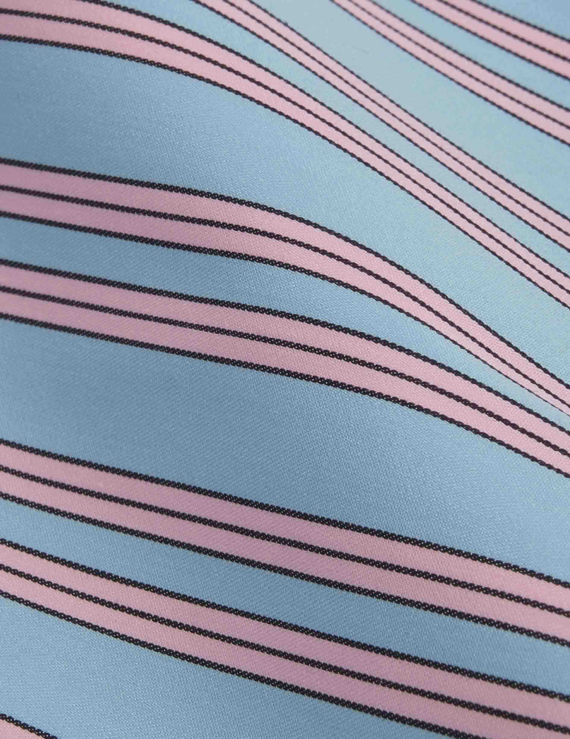 Blue striped Léone pants in cotton twill