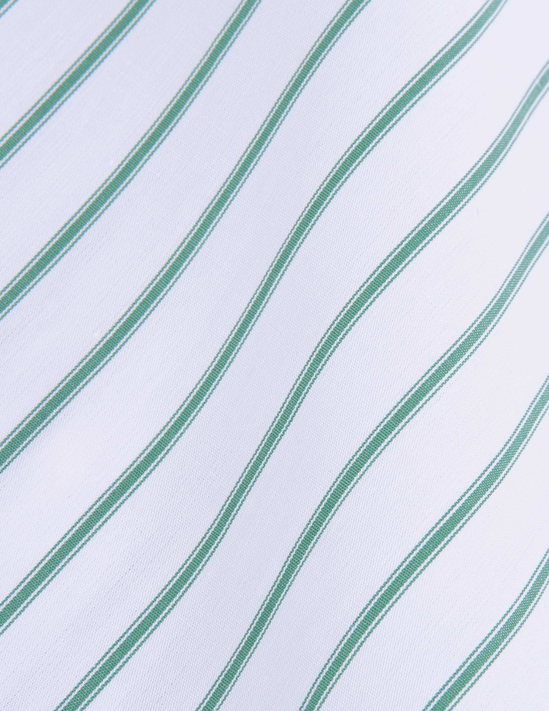 Green striped semi-fitted shirt - Poplin - Reverse Collar