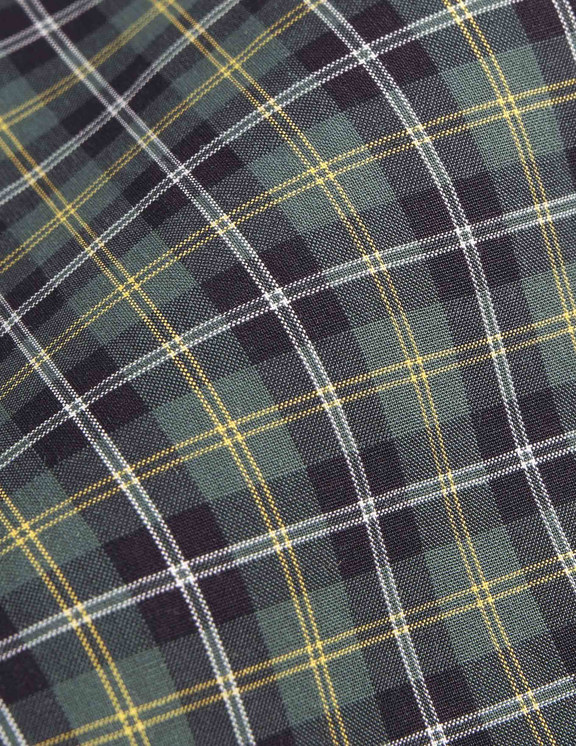 Chemise Arnold à carreaux verts - Popeline - Col Prodigieux