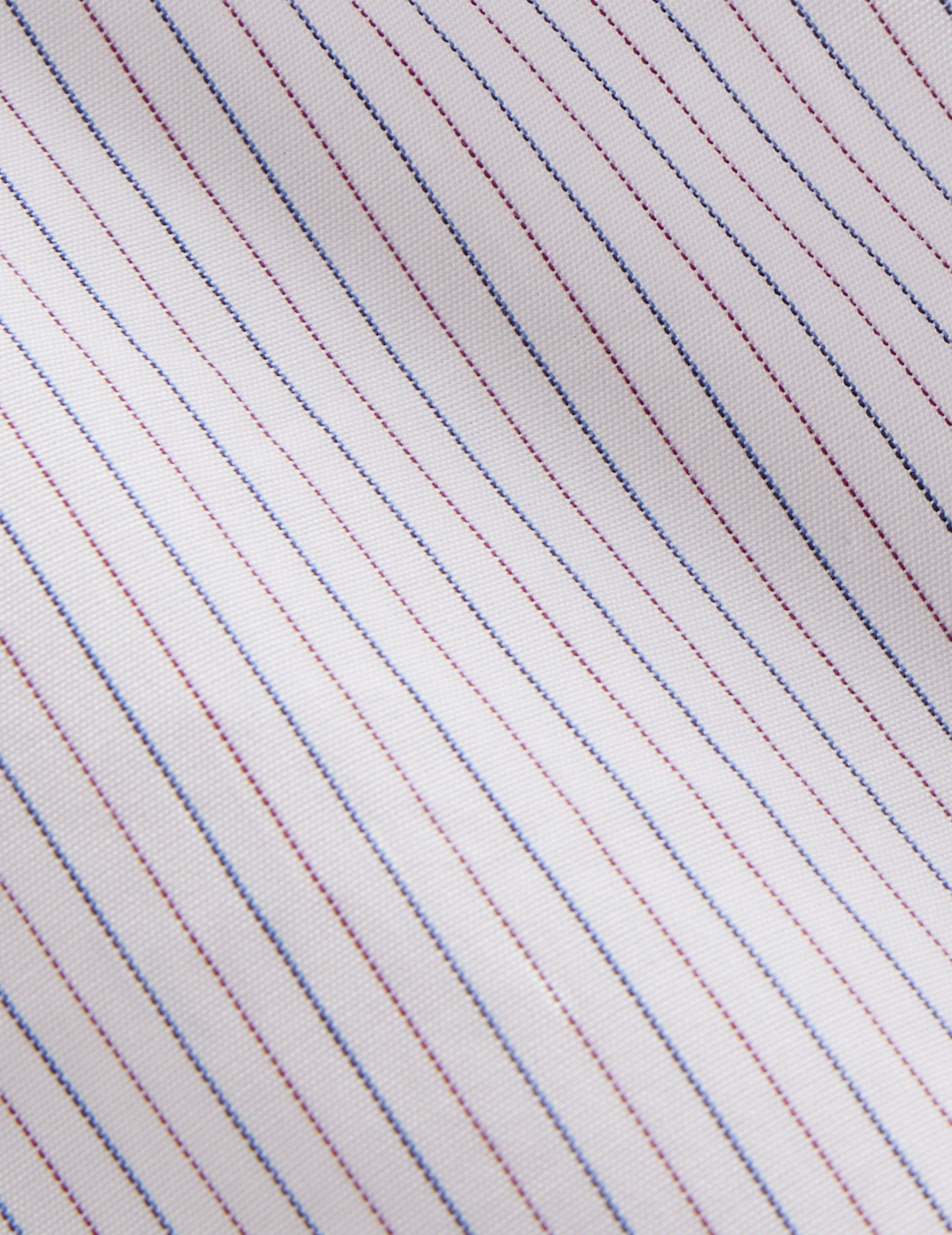 Chemise semi-ajustée rayée bleu et violet - Popeline - Col Américain