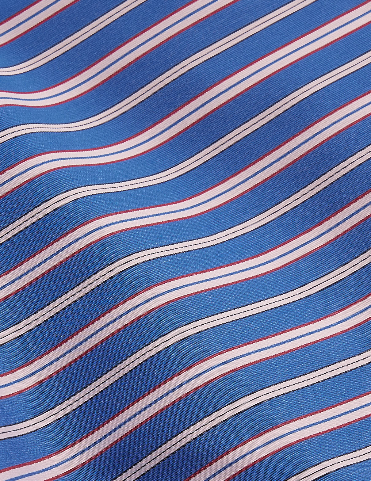 Chemise semi-ajustée rayée bleue - Popeline - Col Américain