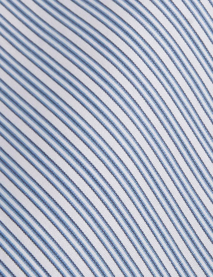 Meryl blue striped shirt
