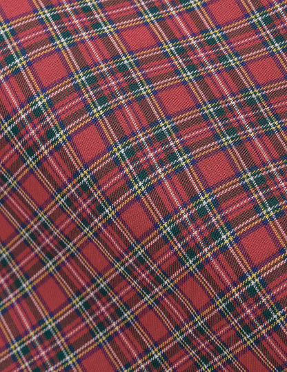 Antonin red checked shirt