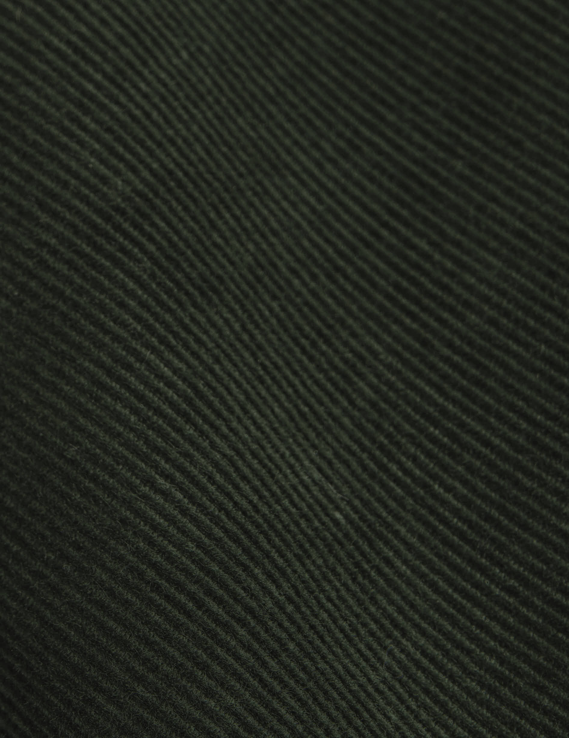 Chemise Gabriel en velours vert - Velours - Col Américain