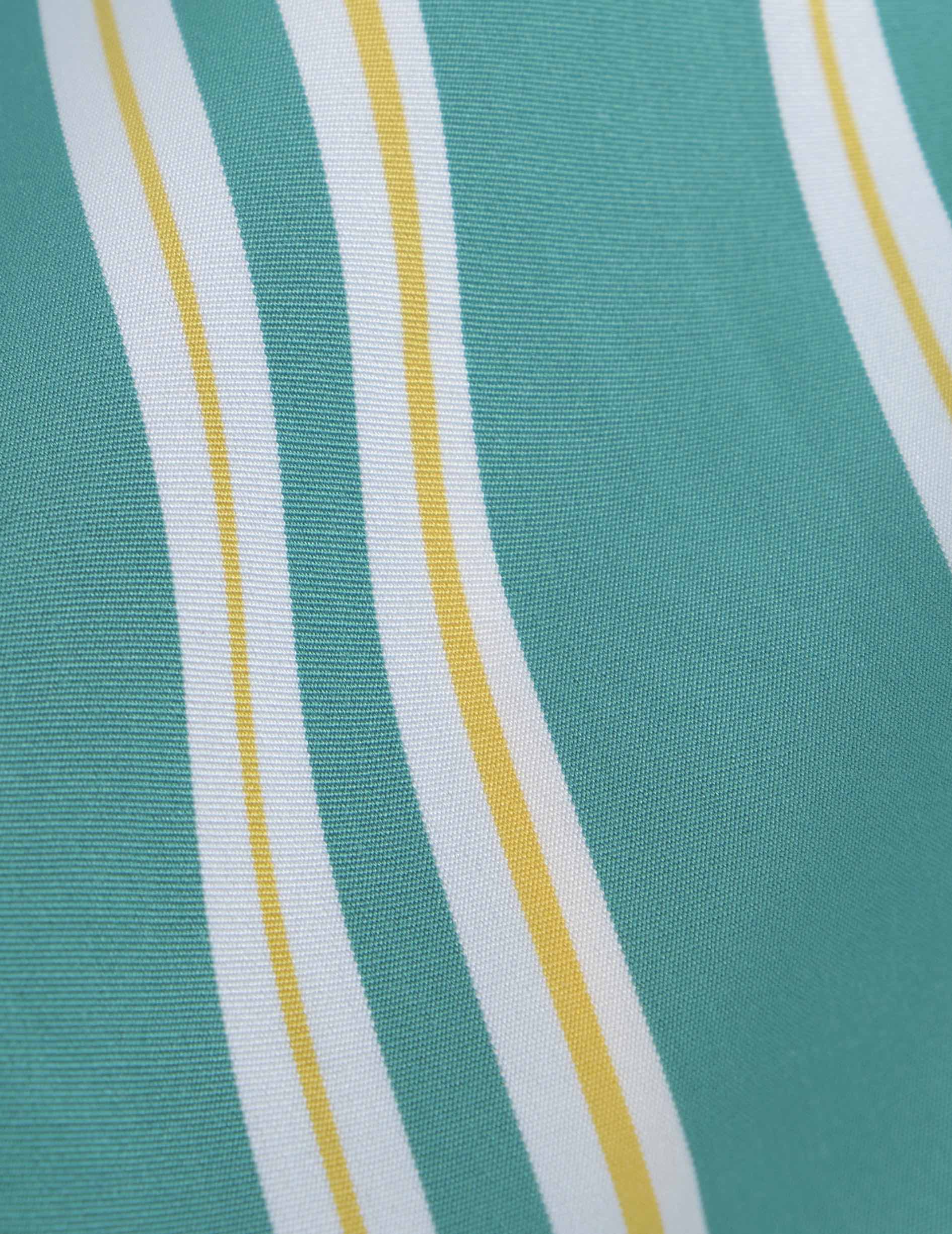 Pantalon Laeticia en popeline rayée verte