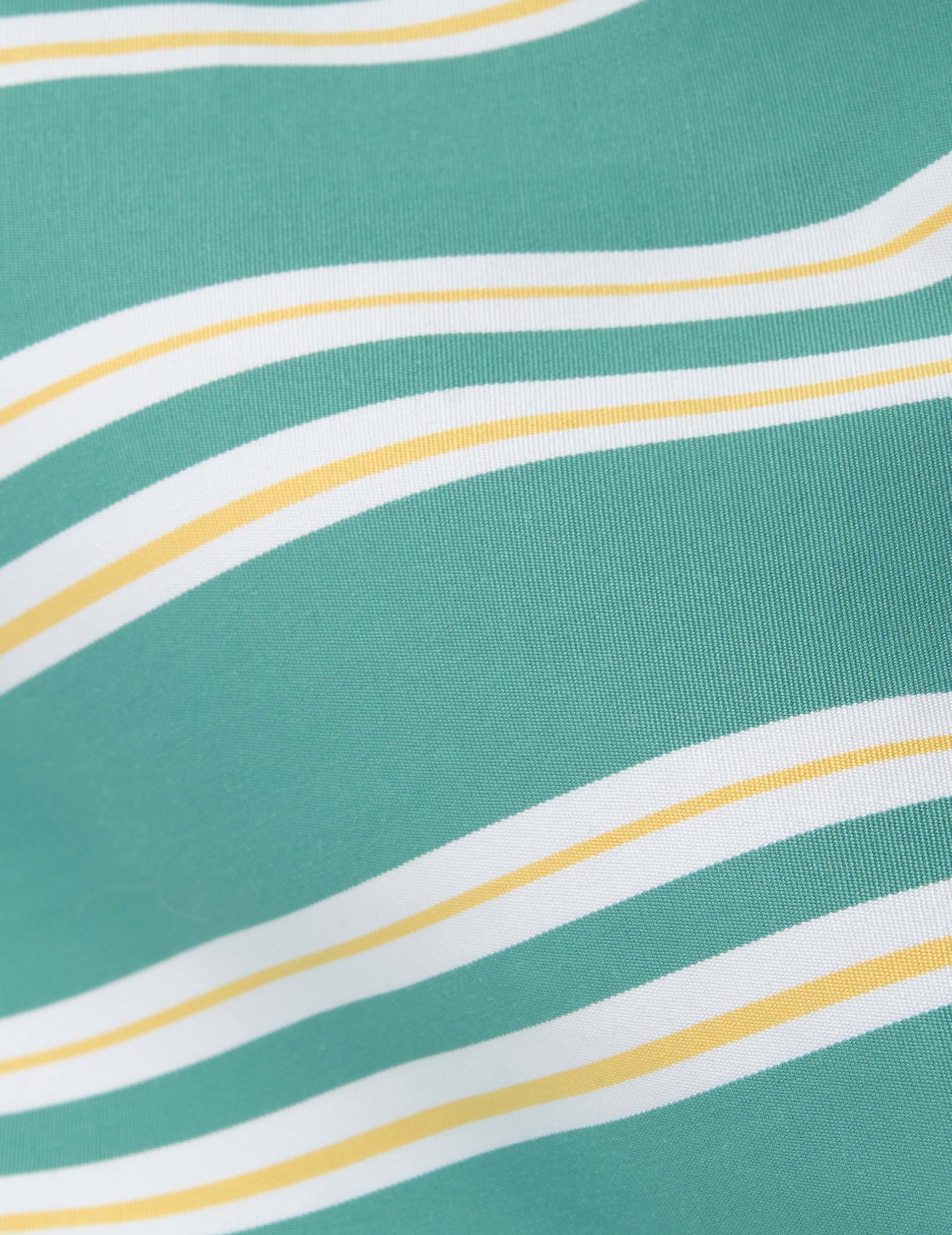 Nina  striped green poplin shorts