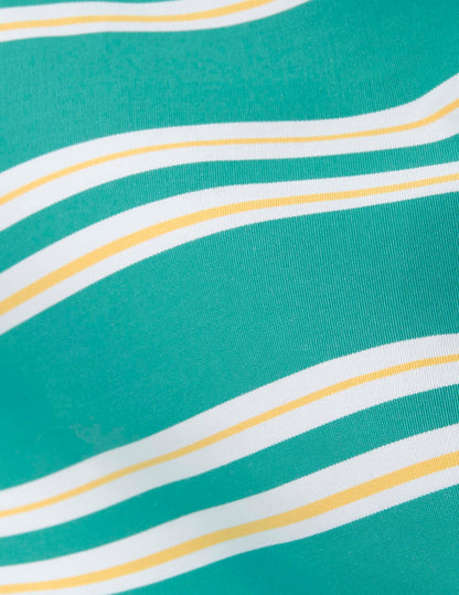 Nina  striped green poplin shorts