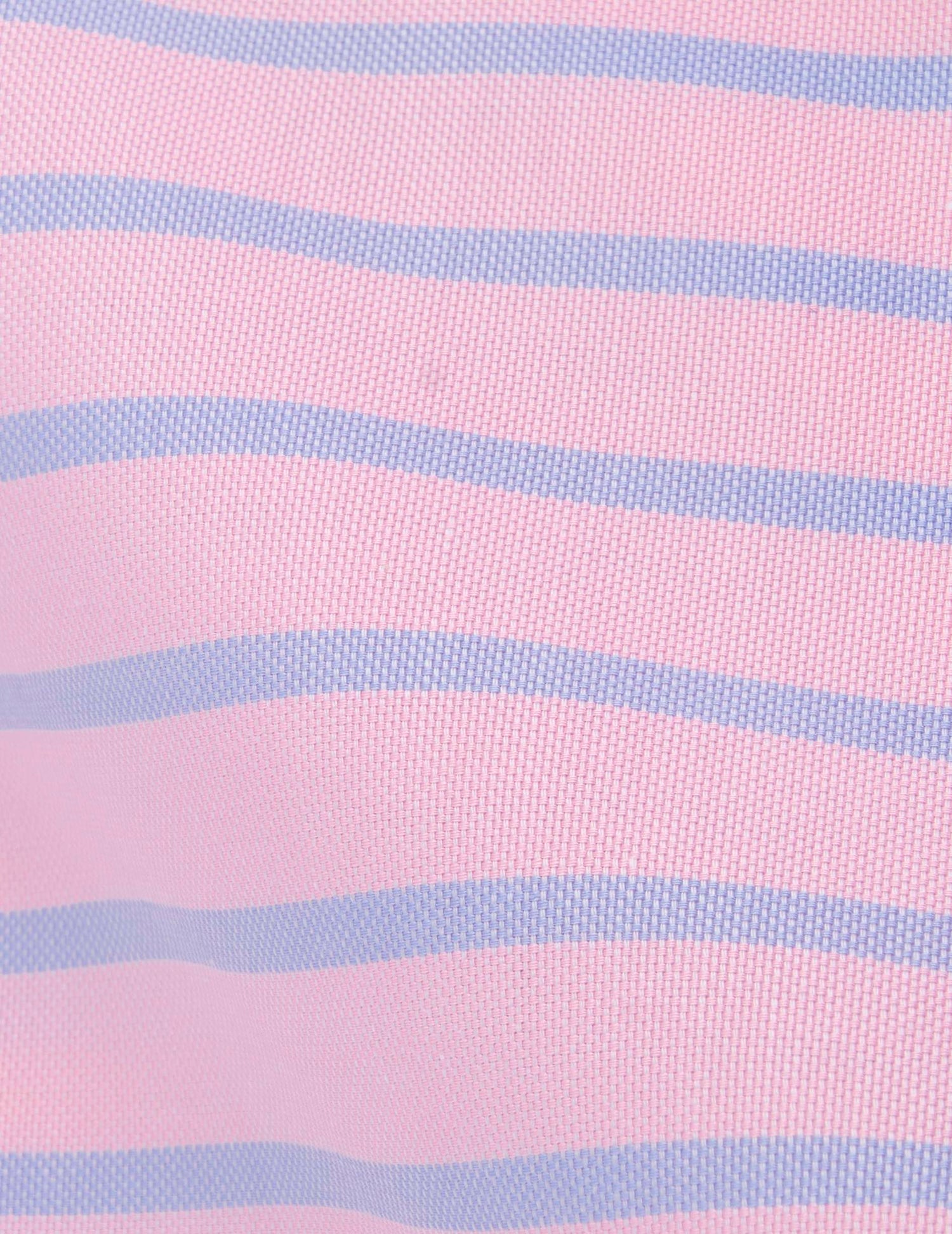 Pink striped oxford Norine shorts