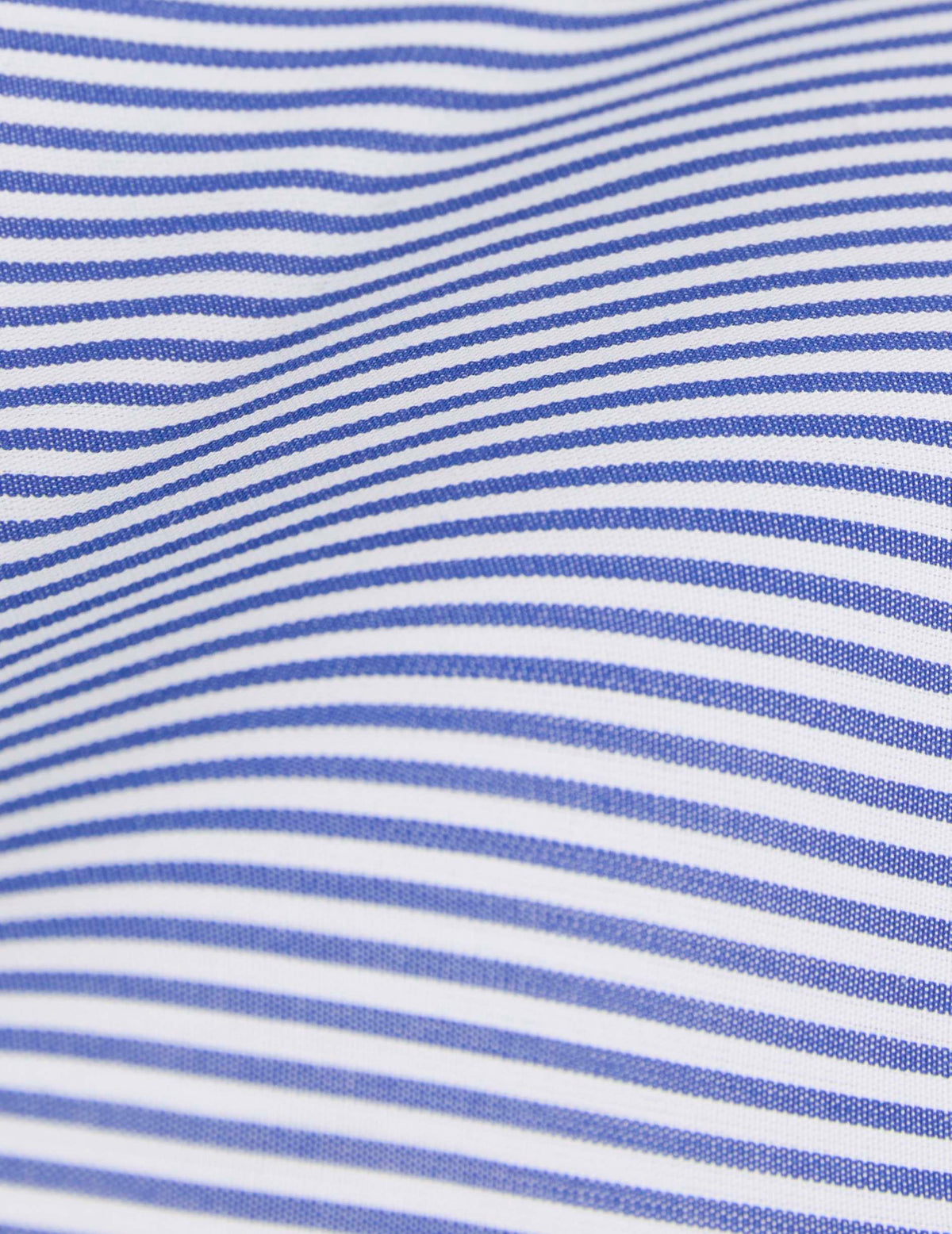 Chemise semi-ajustée rayée bleue - Popeline - Col Anglais