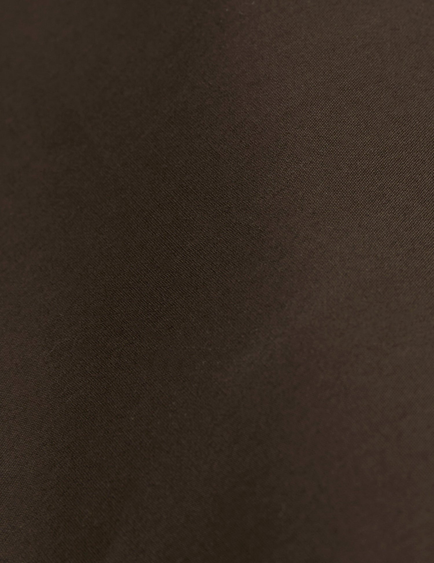 Carl brown shirt - Poplin - Carl Collar#5