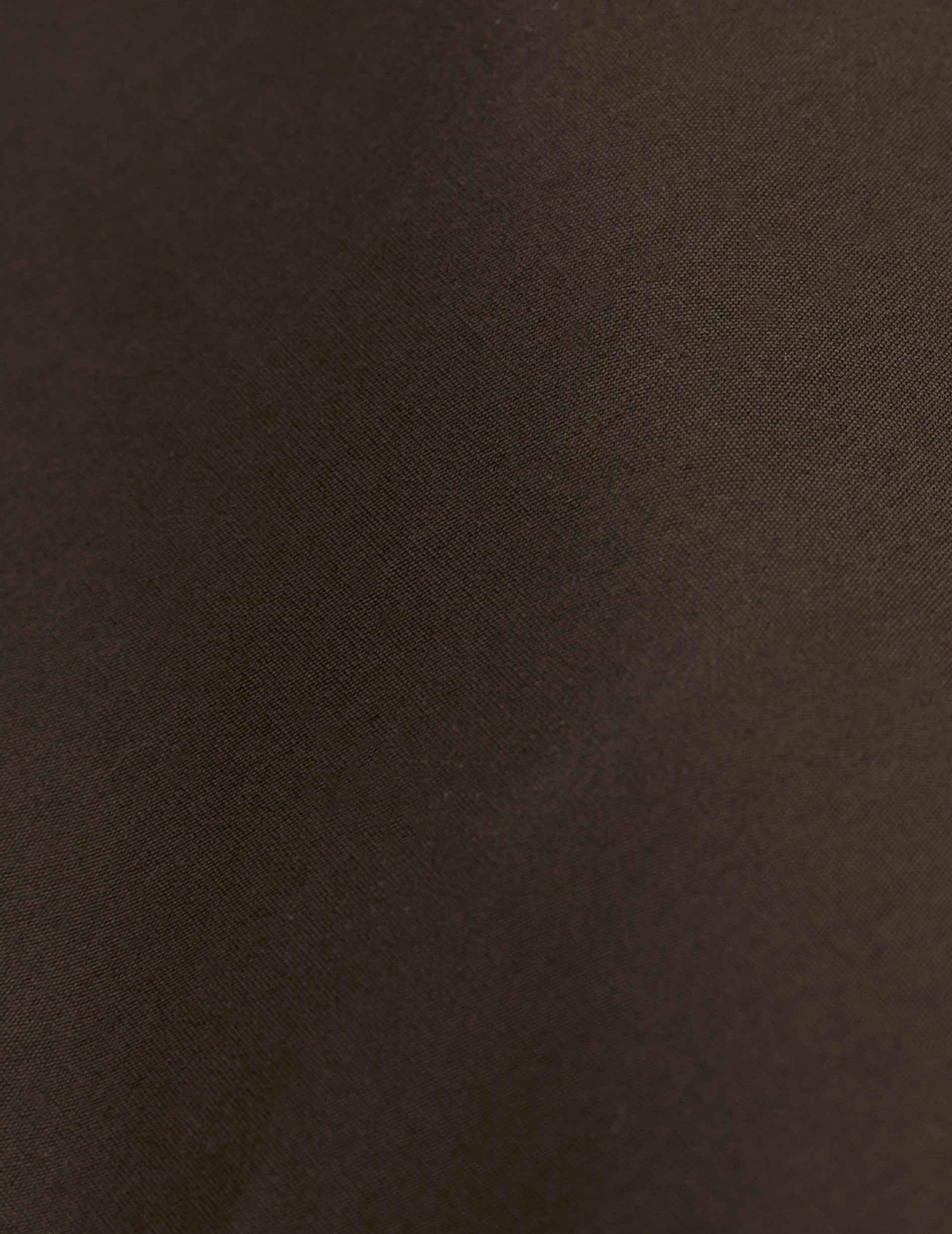 Carl brown shirt - Poplin - Carl Collar
