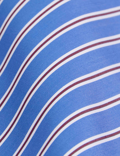 Chemise classique rayée bleue