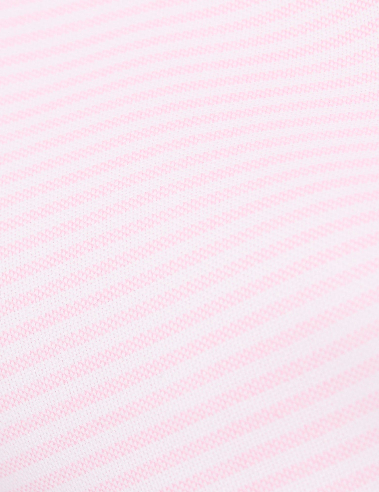 Pink striped Herwin shirt - Oxford - Officer Collar#4